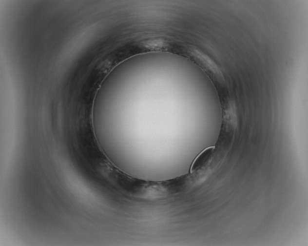 X0000112940572200908311451