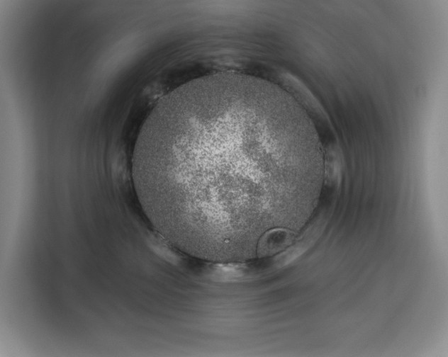 X0000112940573200908311451