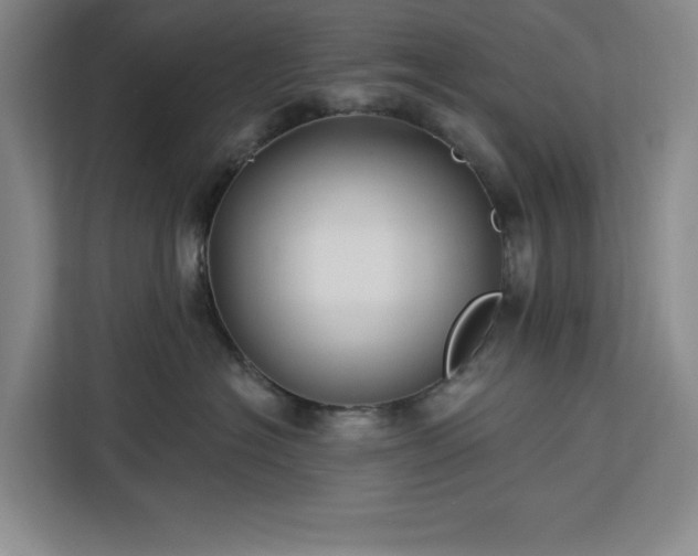 X0000112940574200908311451