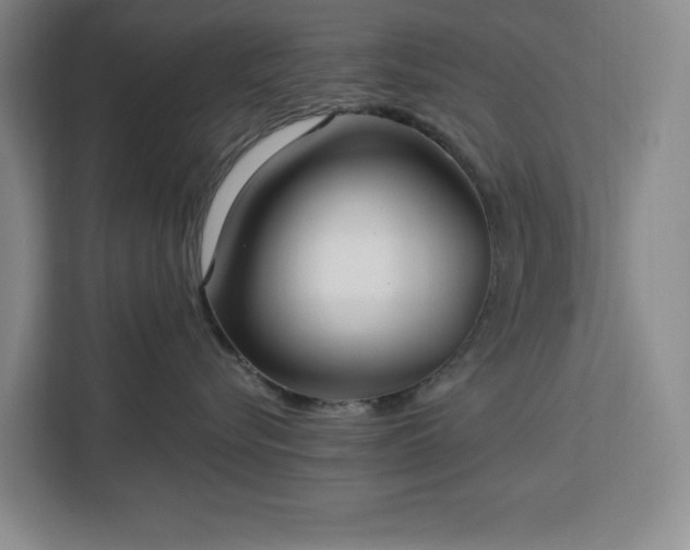 X0000112940576200908311451