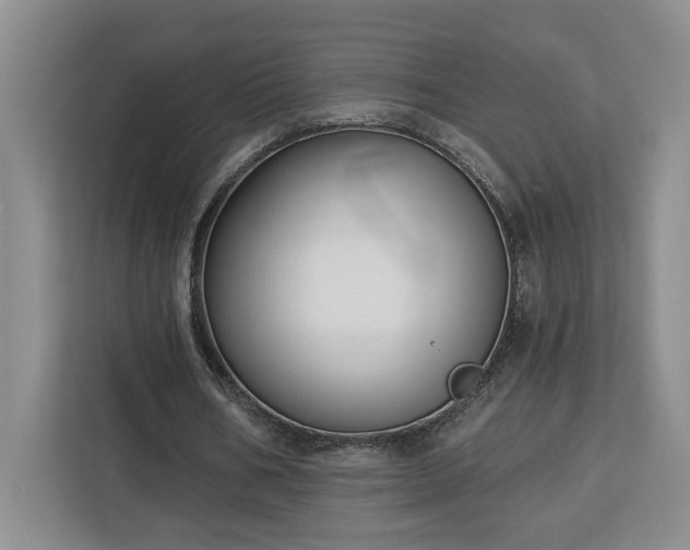 X0000112940578200908311451