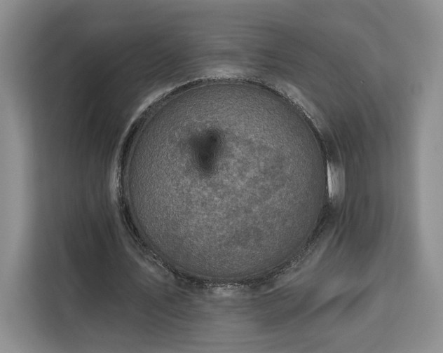 X0000112940579200908311451