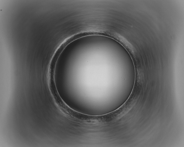 X0000112940580200908311451