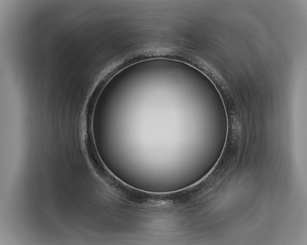 X0000112940582200908311451