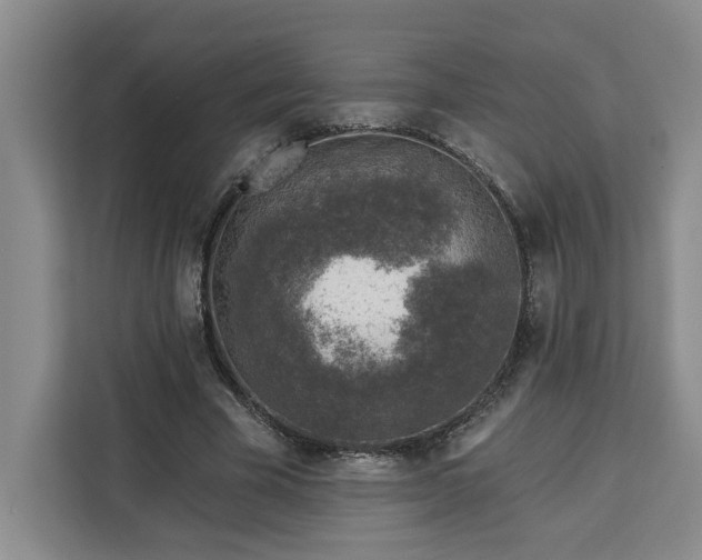 X0000112940585200908311451