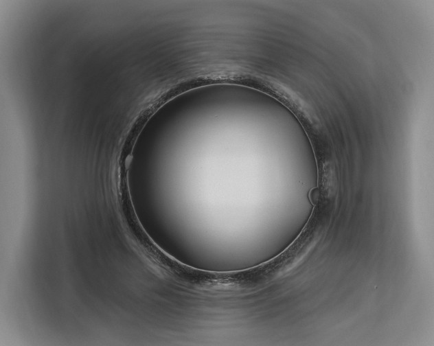 X0000112940589200908311451