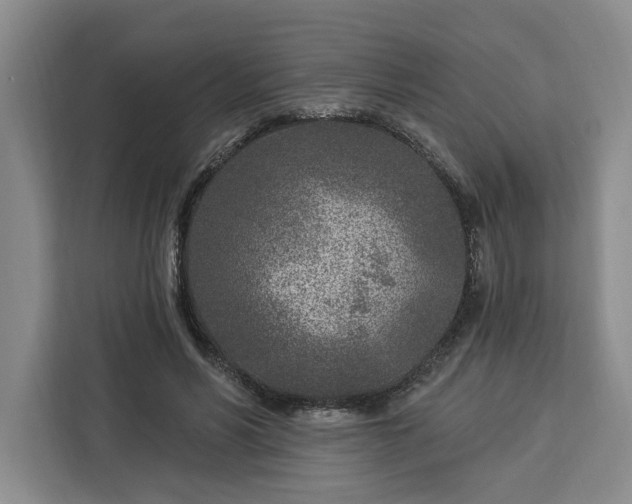 X0000112940590200908311451