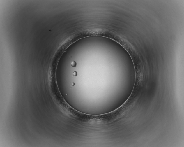 X0000112940591200908311451