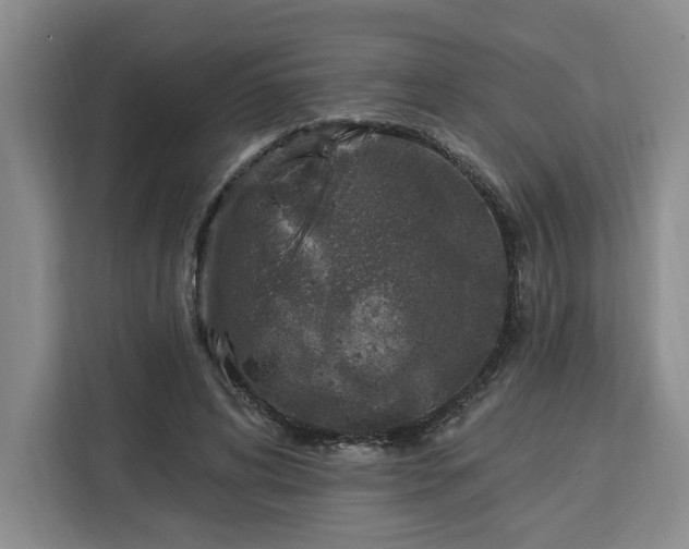 X0000112940592200908311451