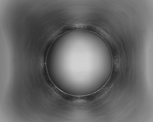 X0000112940593200908311451