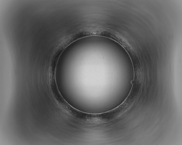 X0000112940594200908311451