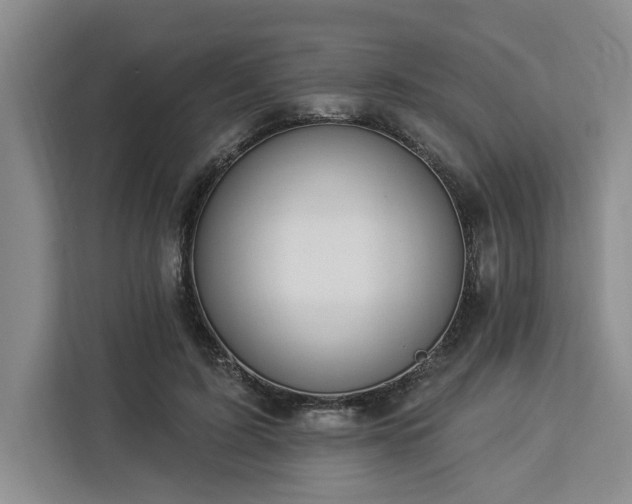 X0000112940595200908311451