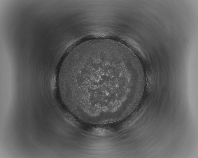 X0000112940596200908311451