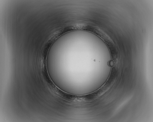 X0000112940599200908311450