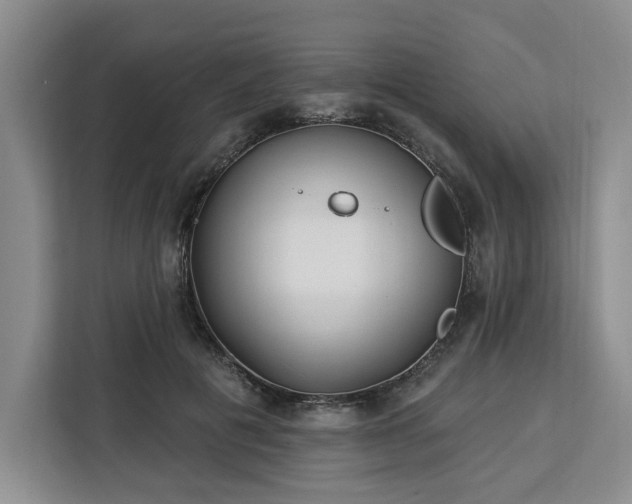 X0000112940601200908311450