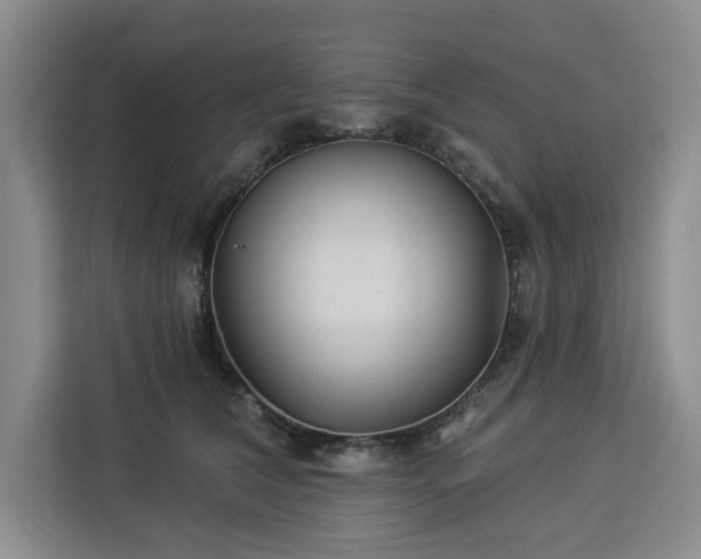 X0000112940612200908311450