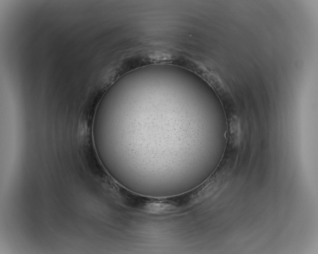 X0000112940614200908311450