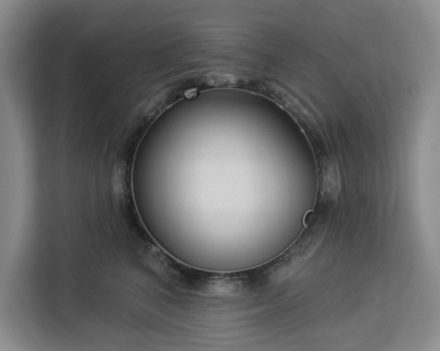 X0000112940616200908311450