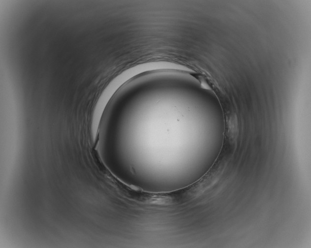 X0000112940617200908311450