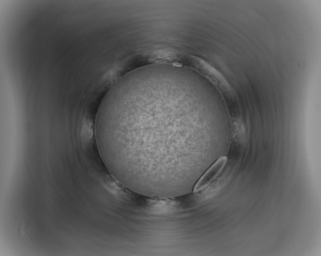 X0000112940621200908311450