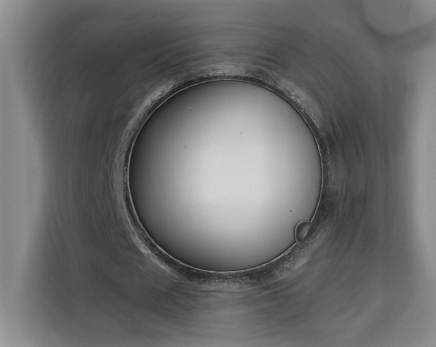 X0000112940625200908311450