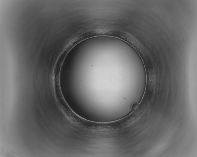 X0000112940626200908311450