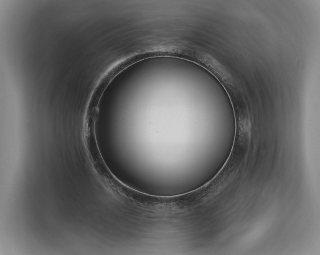 X0000112940628200908311450