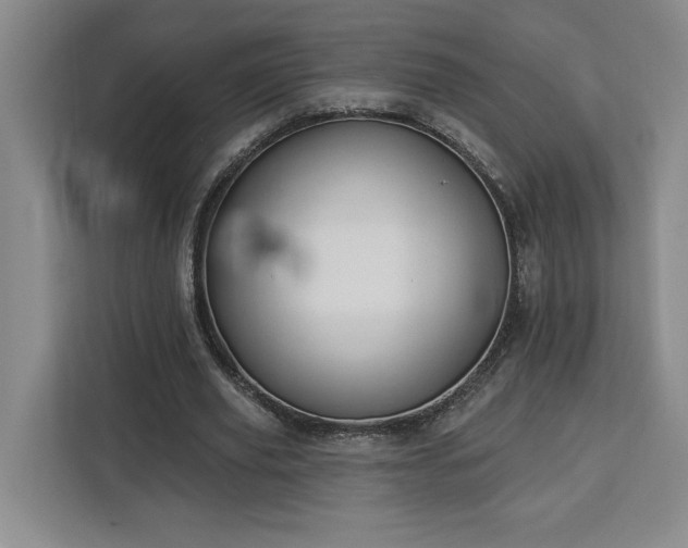 X0000112940629200908311450