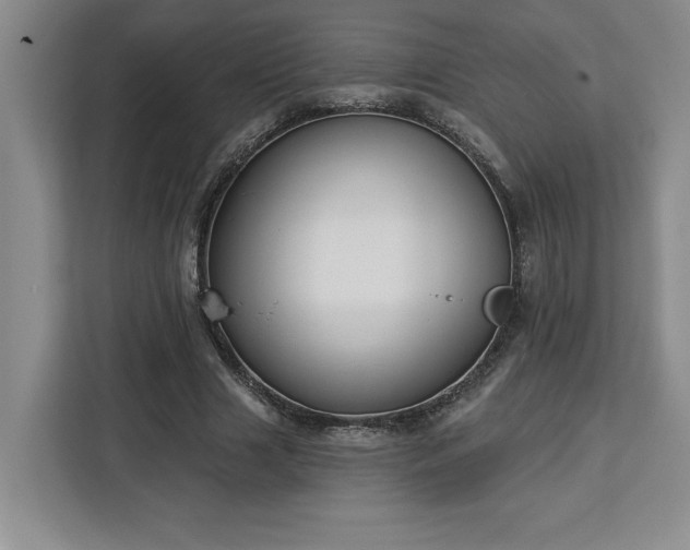 X0000112940633200908311450