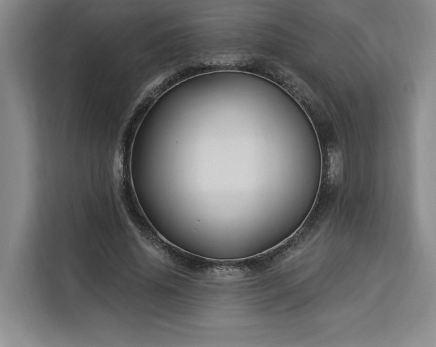 X0000112940636200908311450