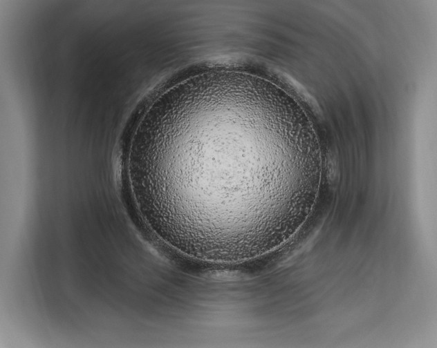 X0000112940637200908311450