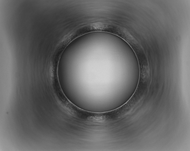 X0000112940639200908311450