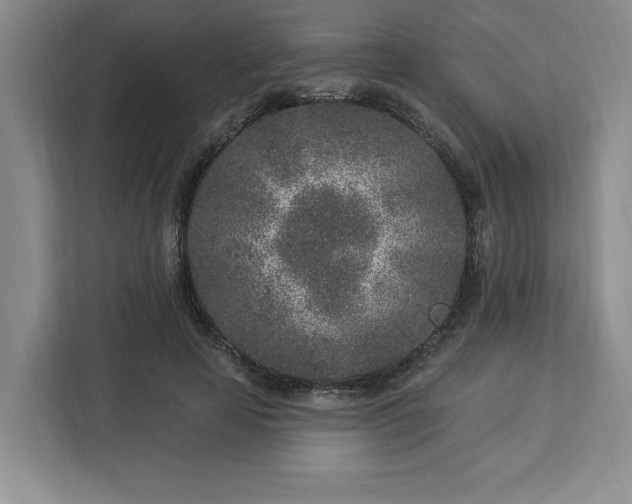 X0000112940641200908311450