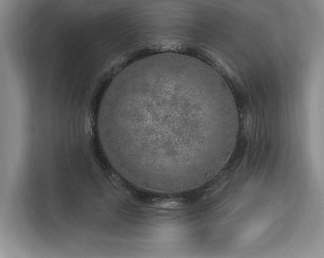 X0000112940643200908311450