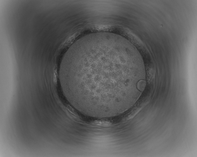 X0000112940644200908311450