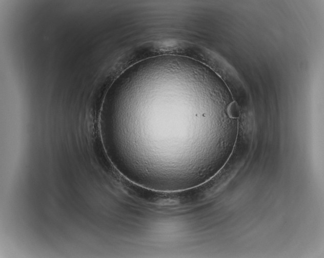 X0000112940653200908311450