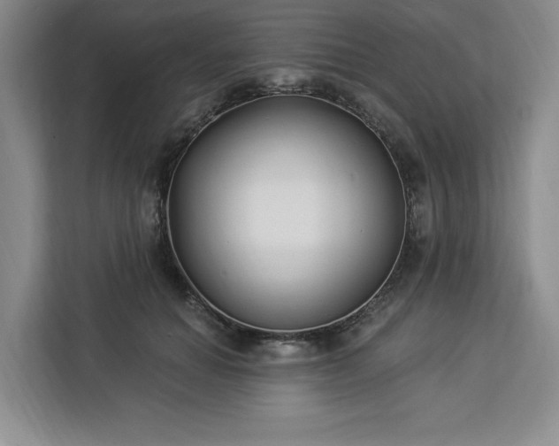 X0000112940654200908311450