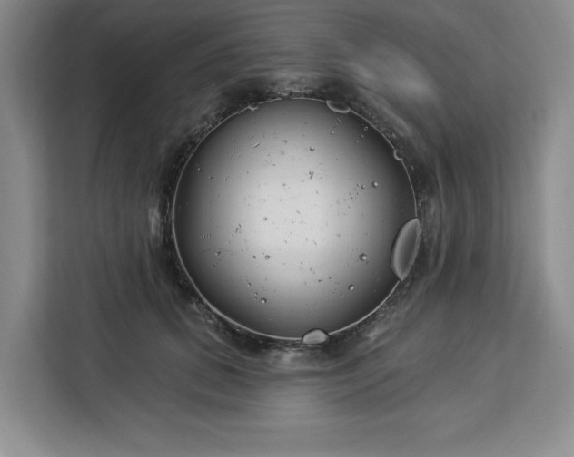 X0000112940655200908311450