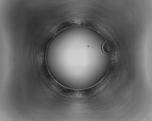 X0000112940656200908311450