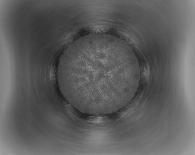 X0000112940663200908311450