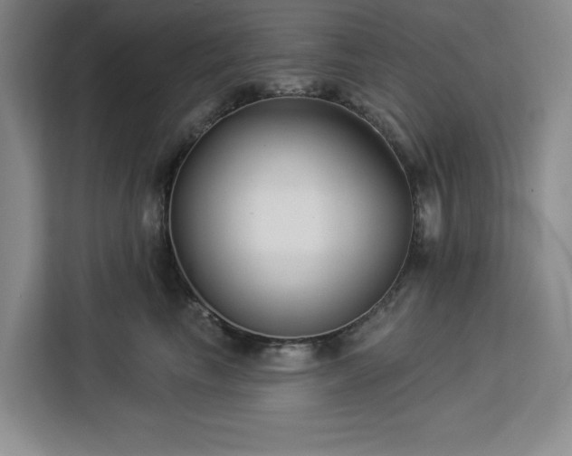 X0000112940665200908311450