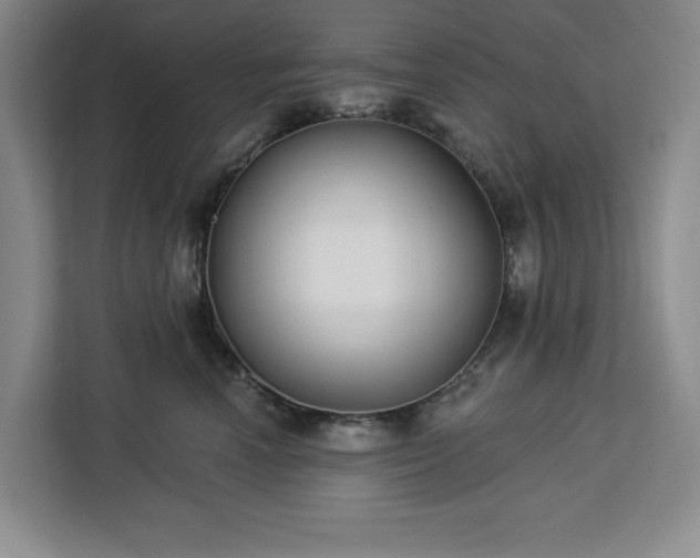 X0000112940666200908311450