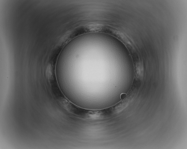 X0000112940667200908311450