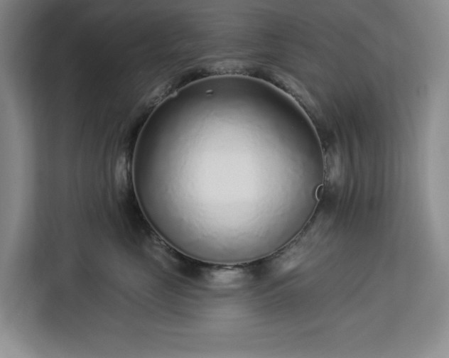 X0000112940669200908311450