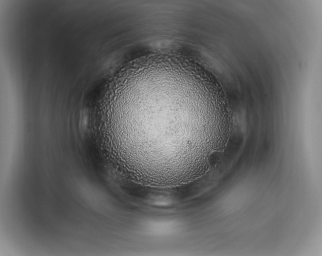 X0000112940671200908311450