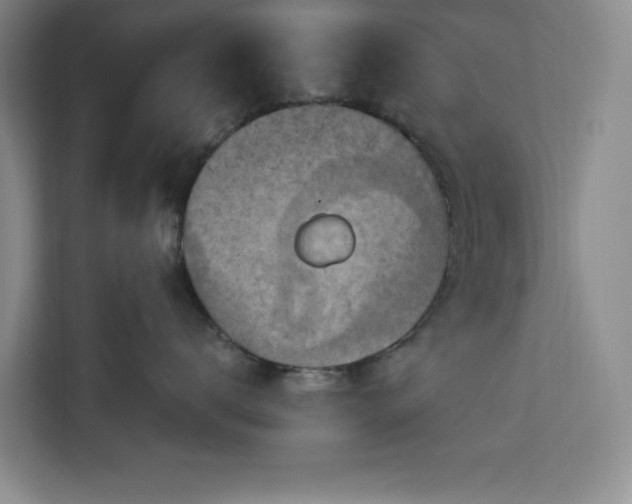 X0000112940672200908311450