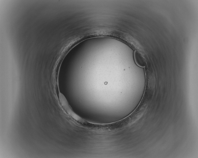 X0000112940673200908311450