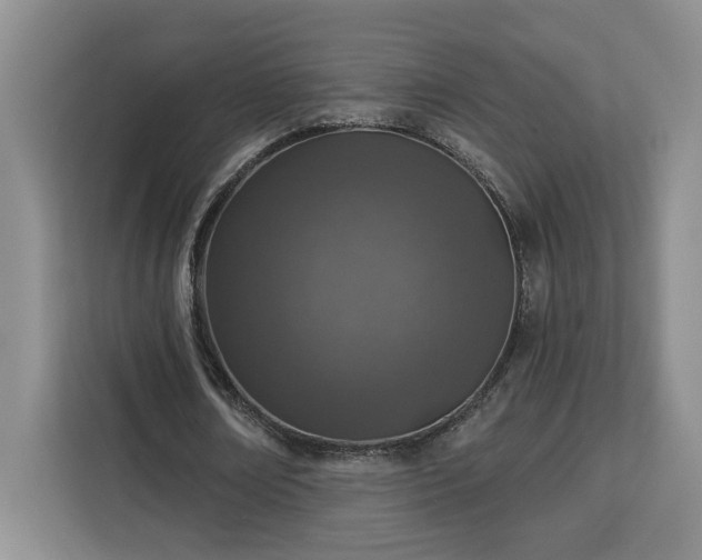 X0000112940674200908311450