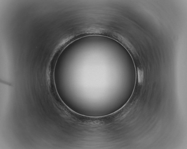 X0000112940675200908311449