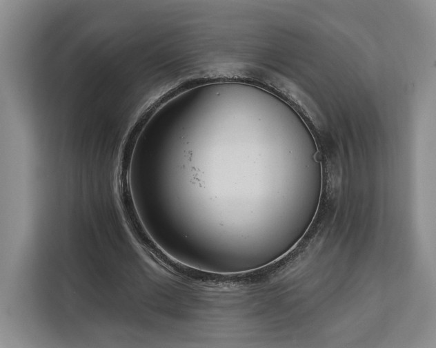 X0000112940677200908311449